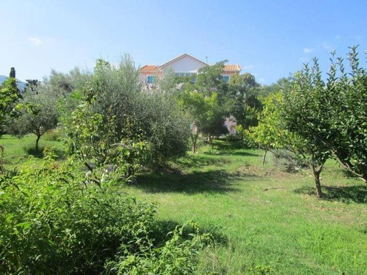 Zeus And Hera Apartments Никиана Экстерьер фото